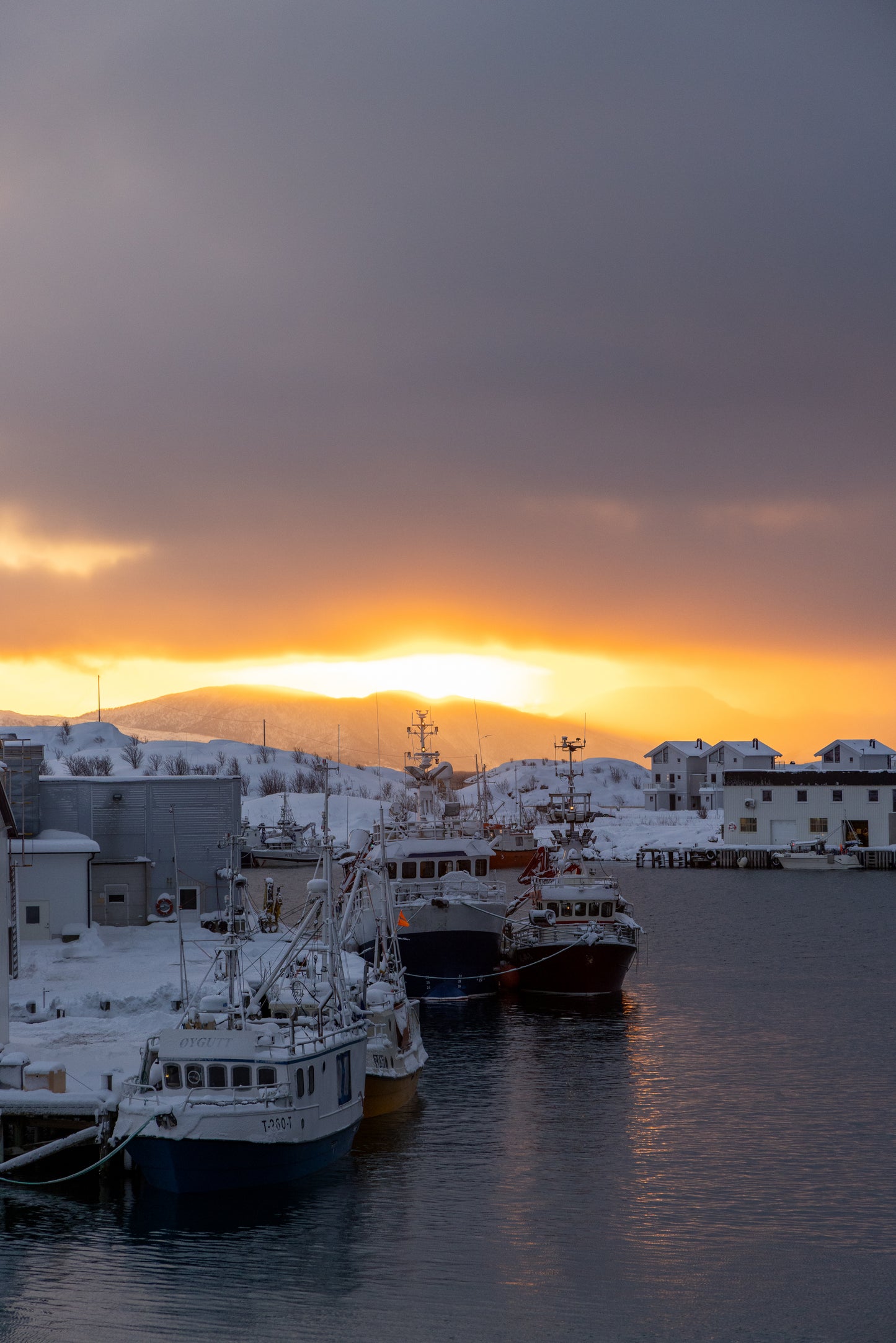 Group Fjord Adventure