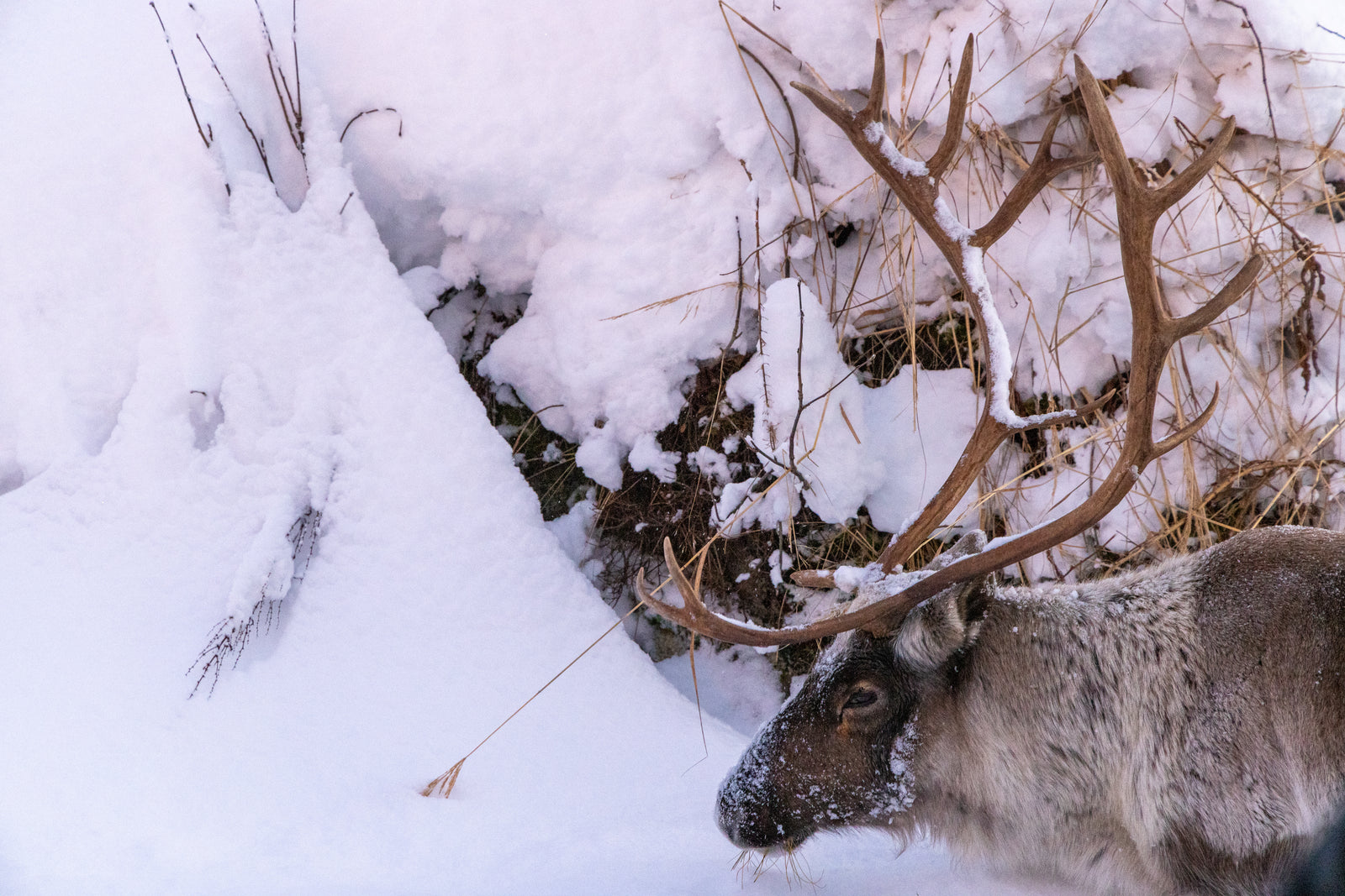 Group Fjord Adventure (16people)