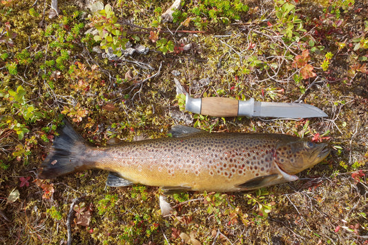 Hike to Hidden Lakes and Fish