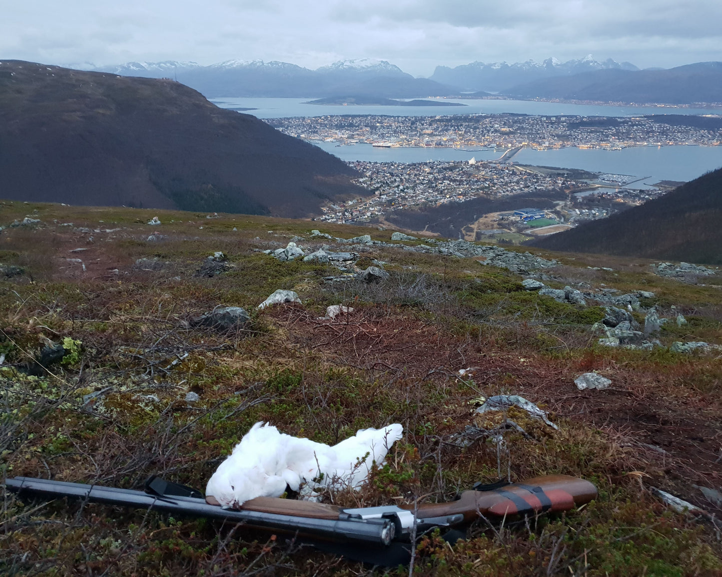 Grouse Hunting and Mountain Hike