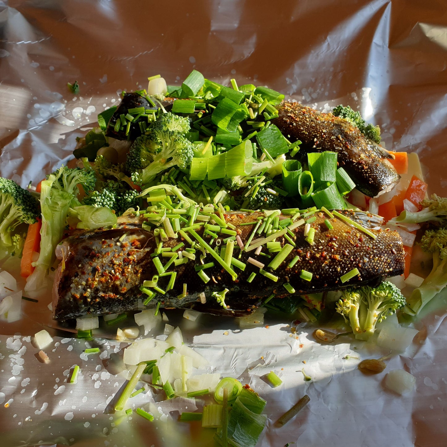 Hike to Hidden Lakes and Fish