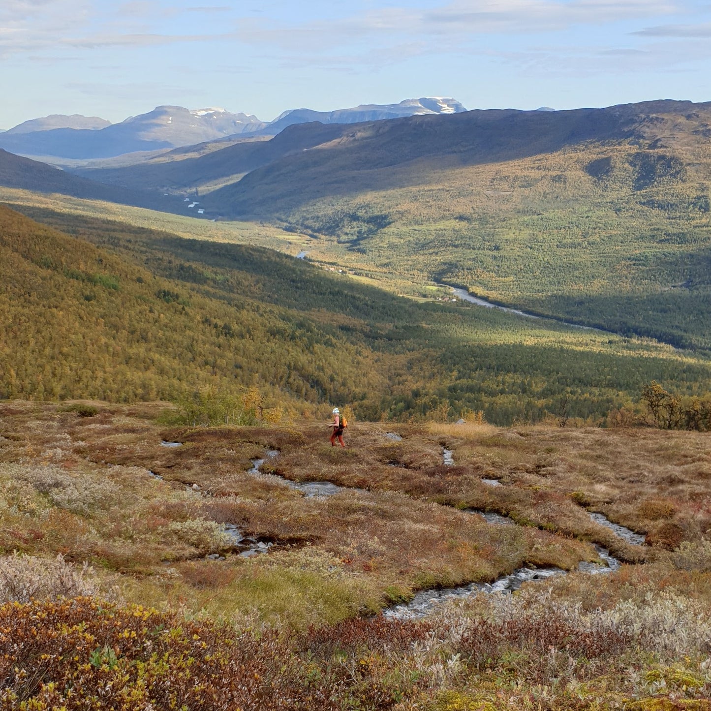 Grouse Hunting and Mountain Hike