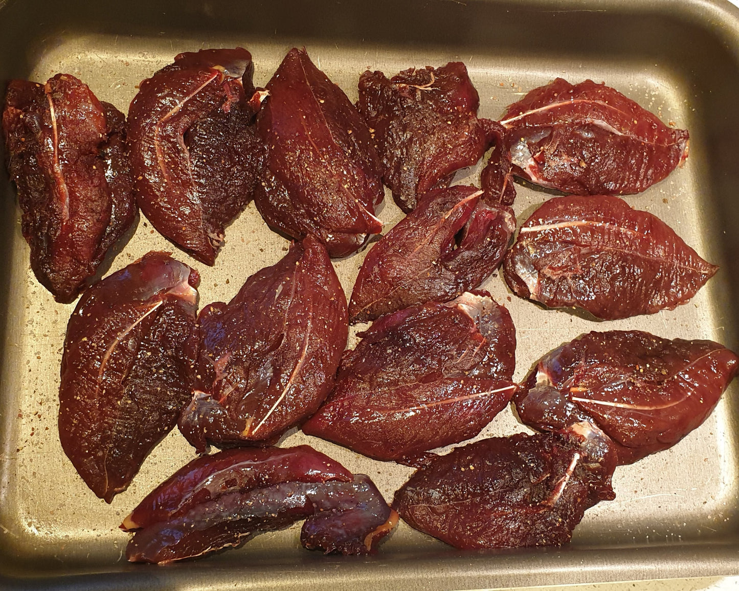 Grouse Hunting and Mountain Hike