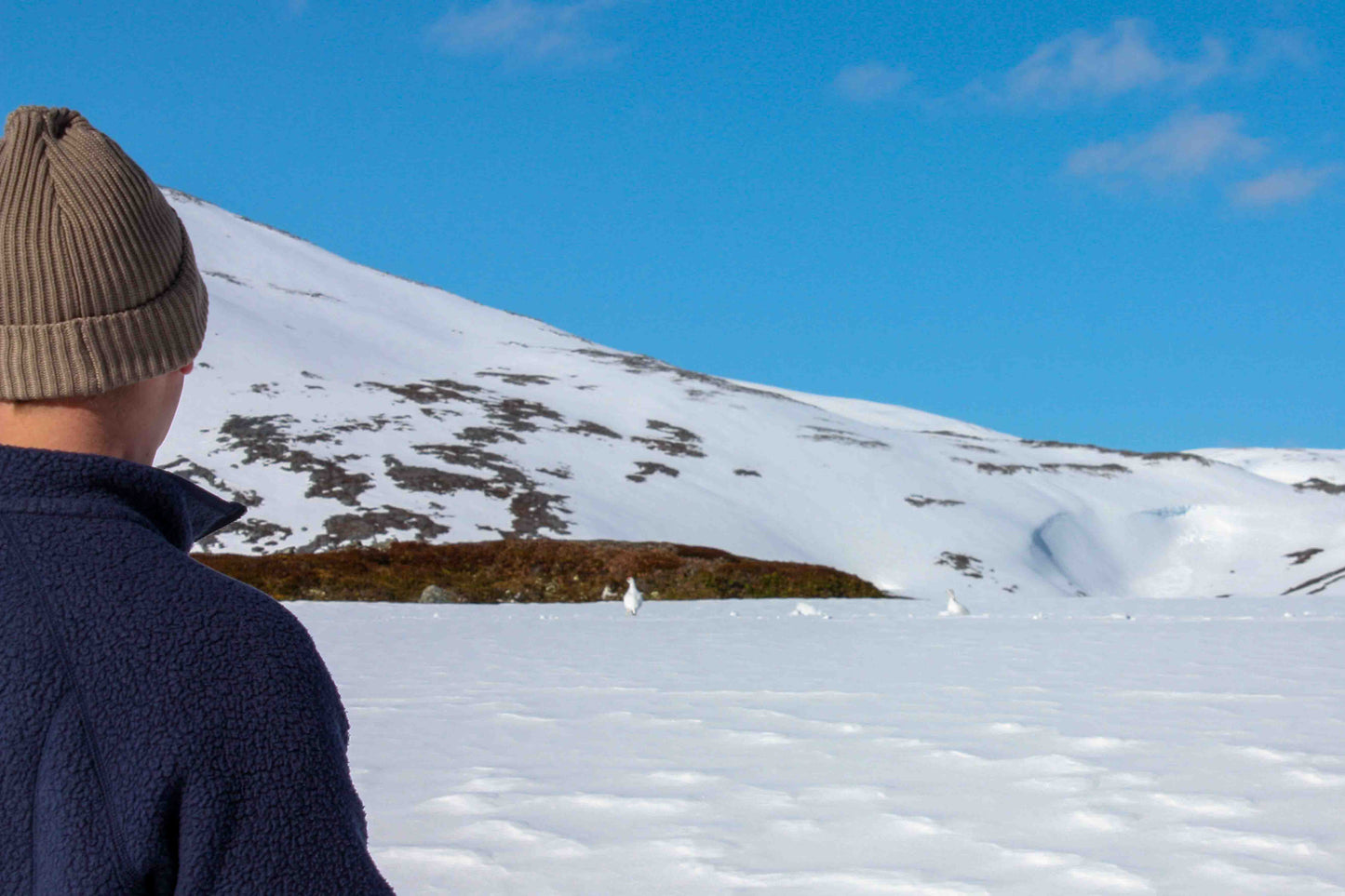 Private Fjord Adventure