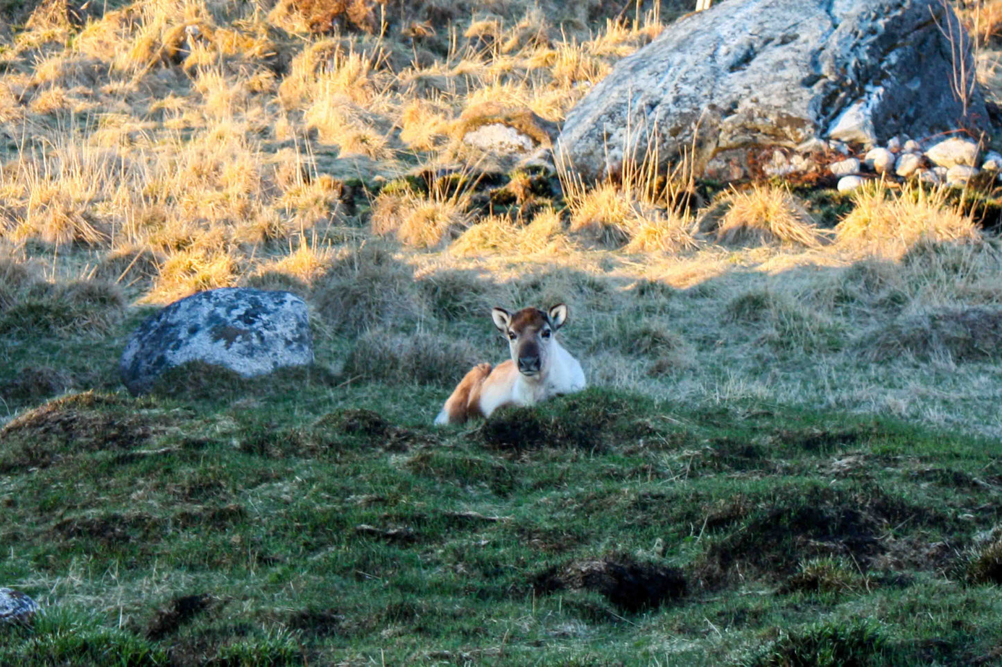 Private Fjord Adventure