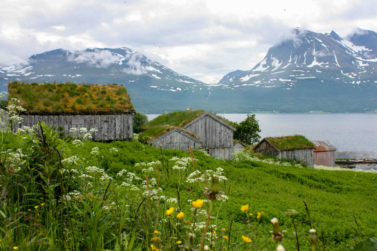 Private Fjord Adventure