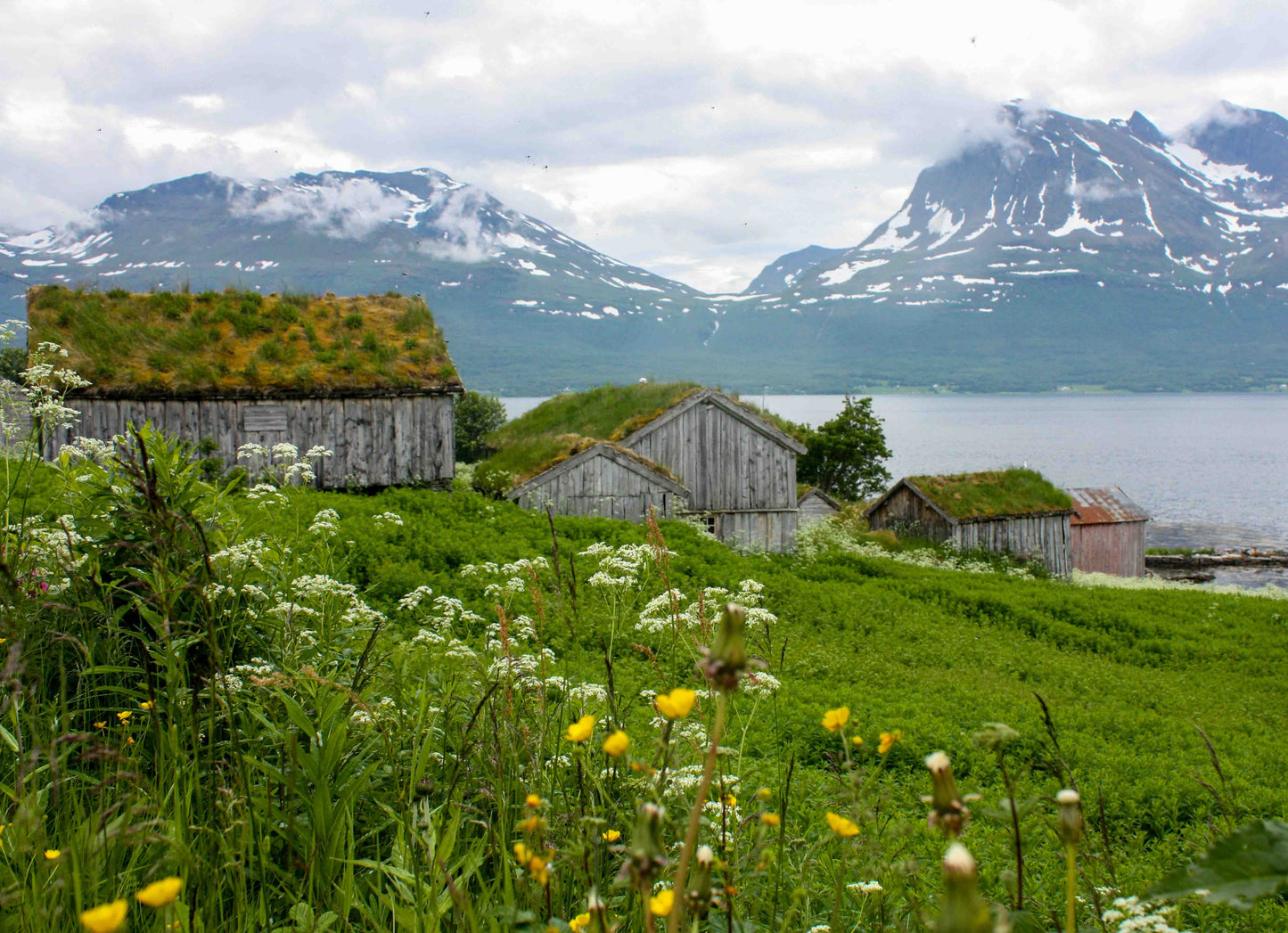 Summer Fjord Adventure
