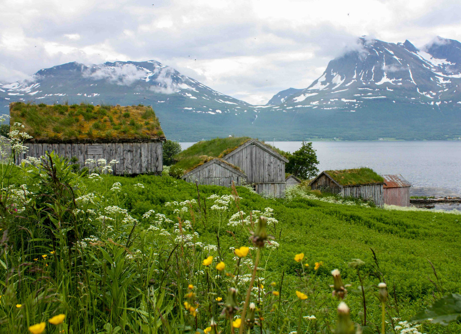 Summer Fjord Adventure