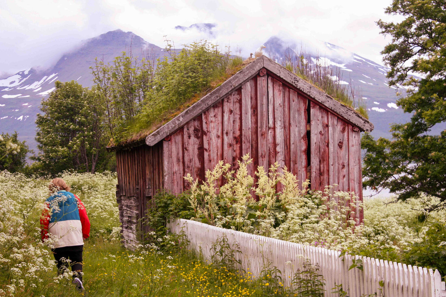 Summer Fjord Adventure