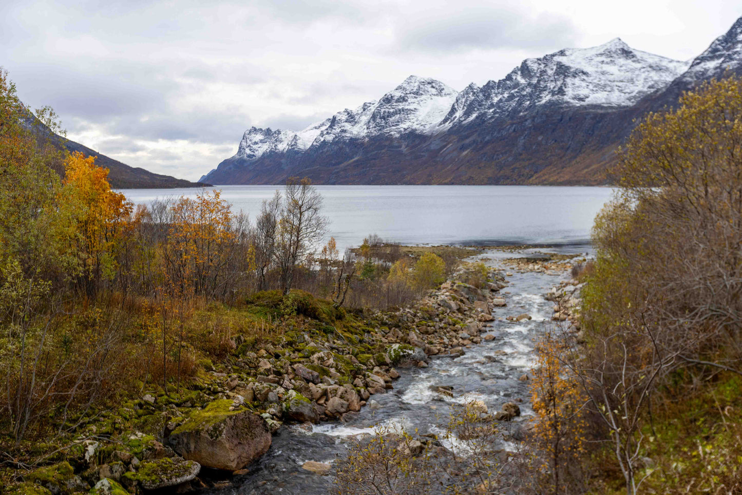 Summer Fjord Adventure