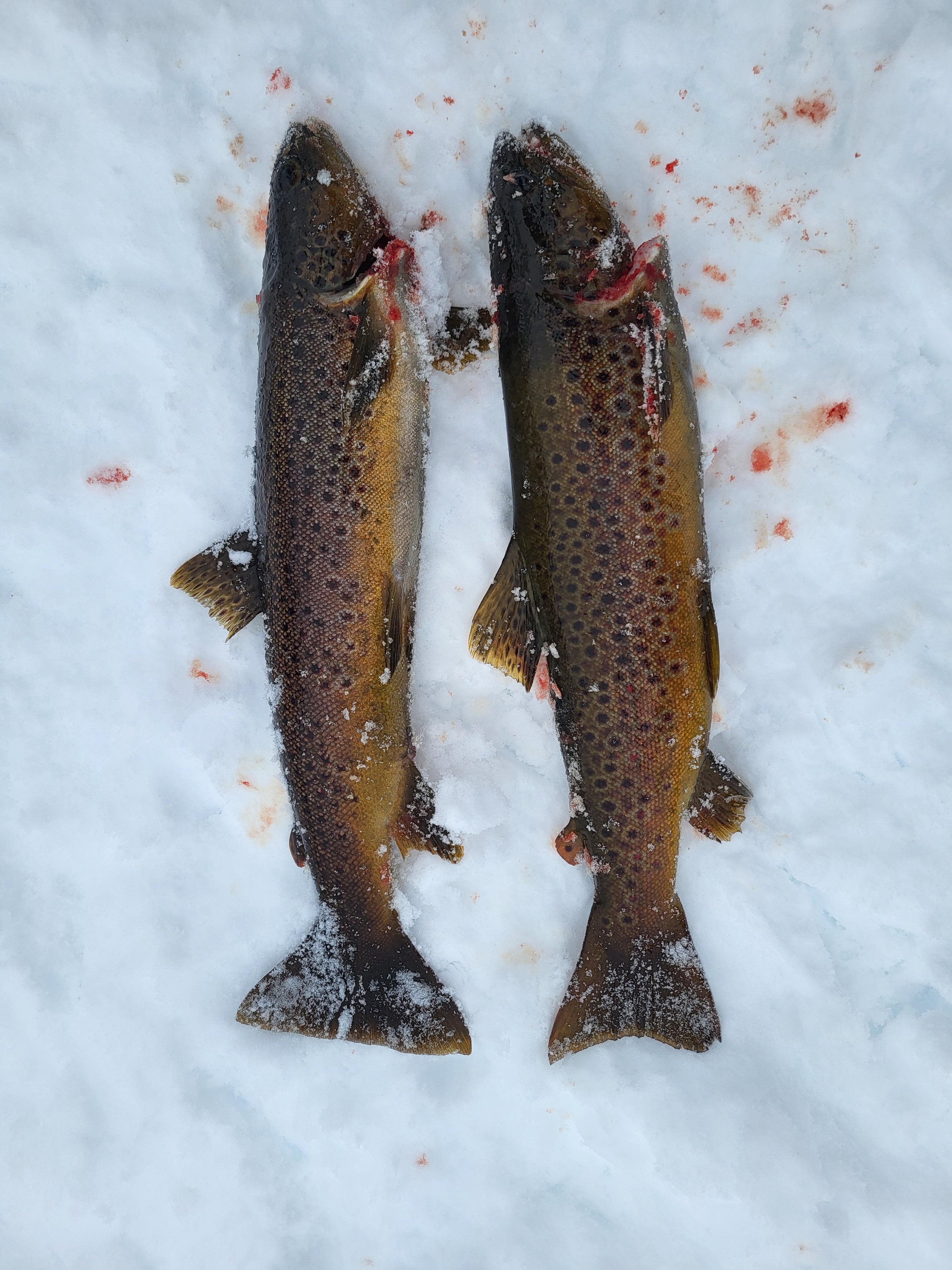Ice Fishing