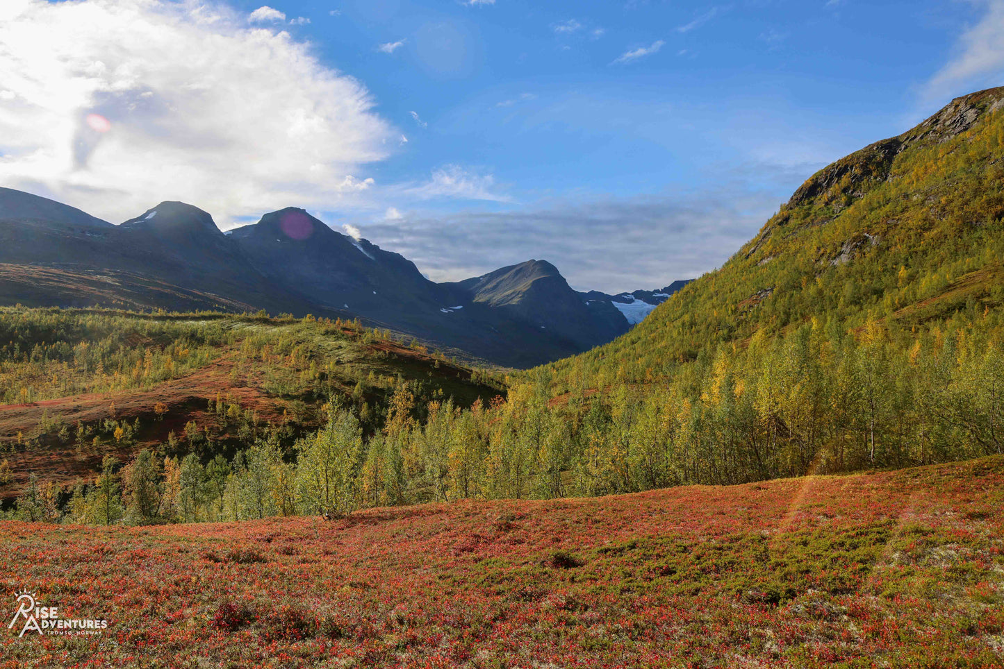 Grouse Hunting and Mountain Hike