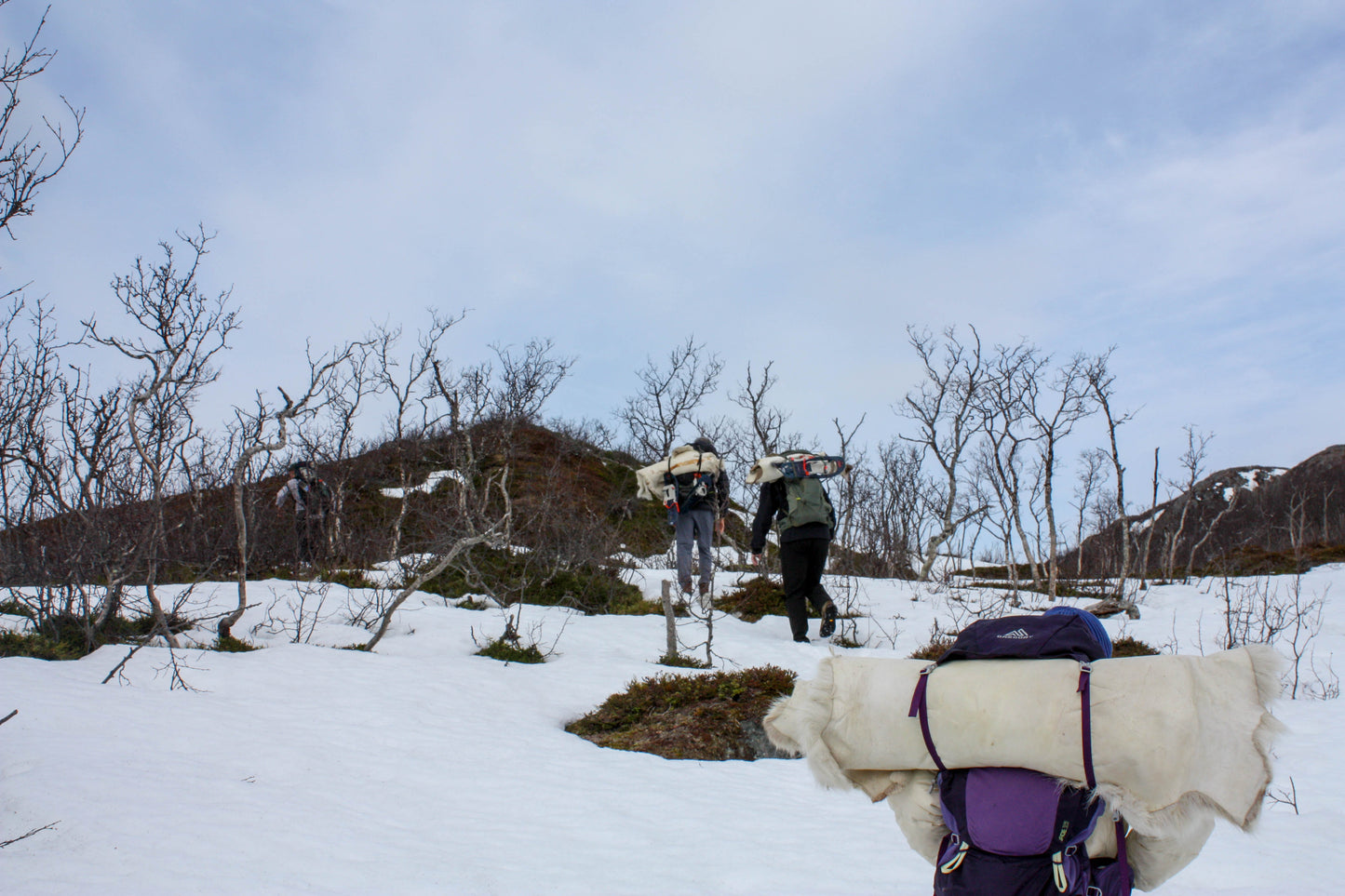 Mountain Cabin Stay and Remote Snow-shoe Hike