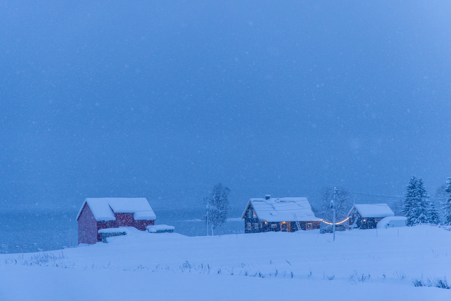 Private Fjord Adventure