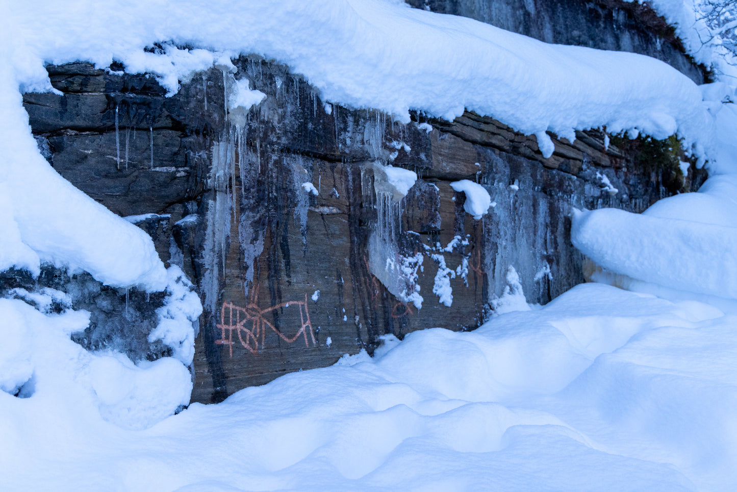 Private Fjord Adventure