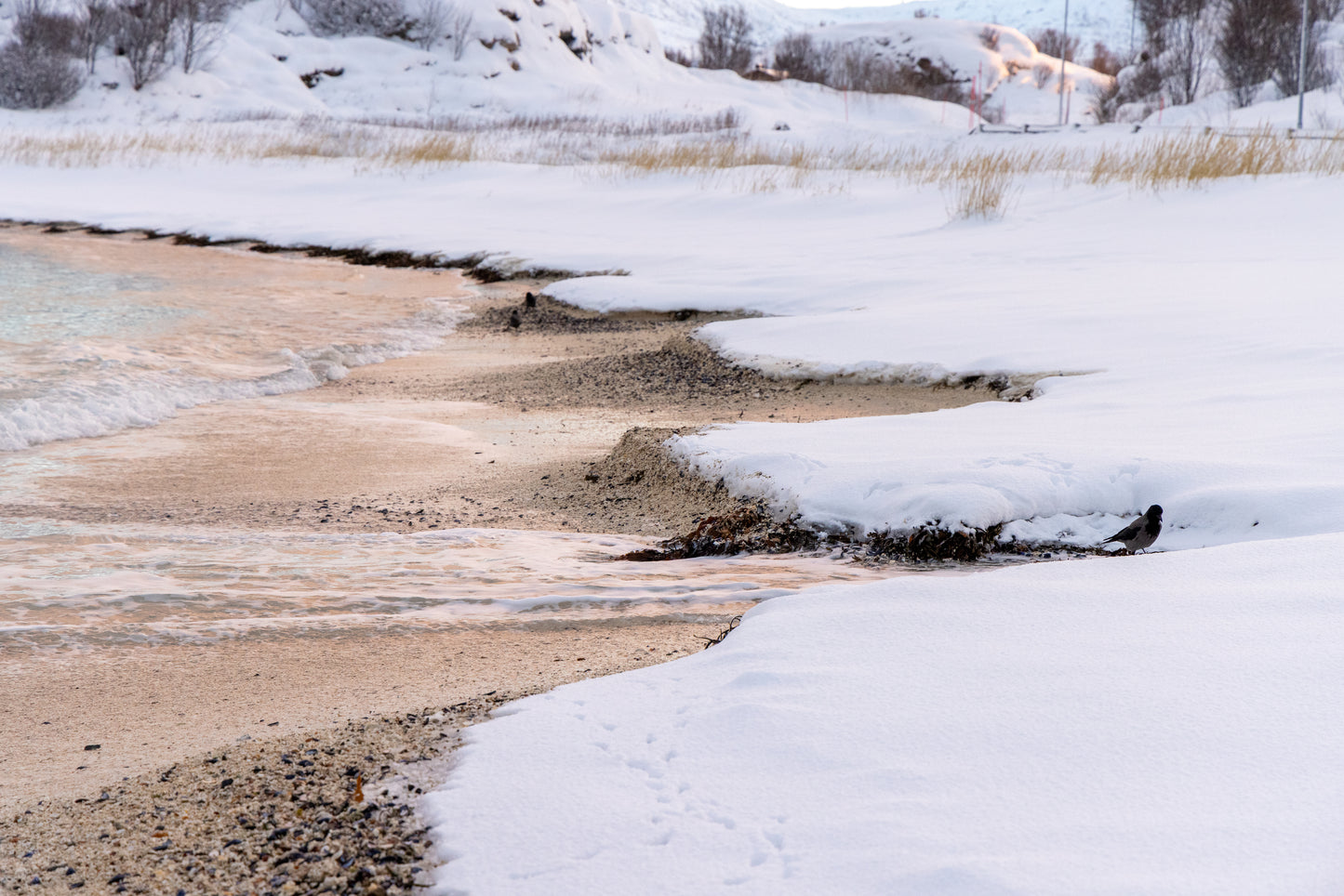 Group Fjord Adventure