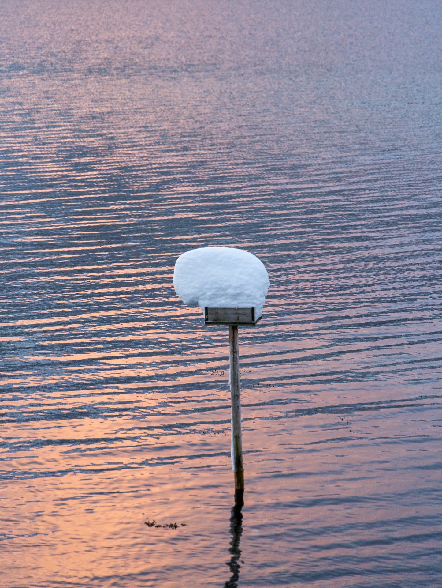 Group Fjord Adventure