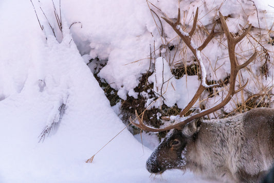 Group Fjord Adventure (16people)