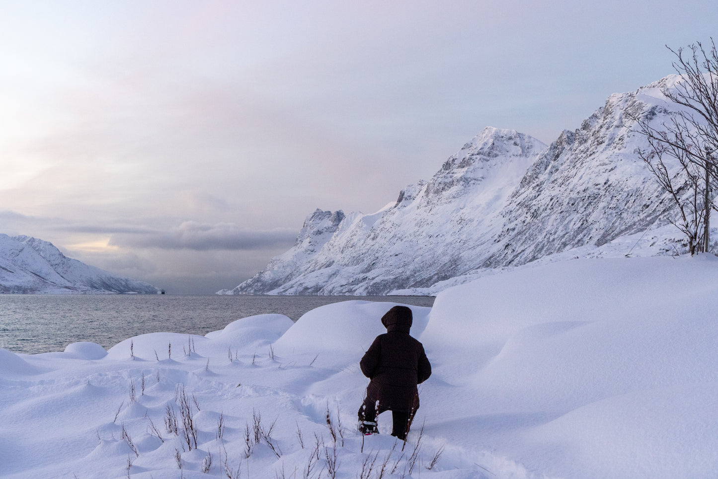 Private Fjord Adventure