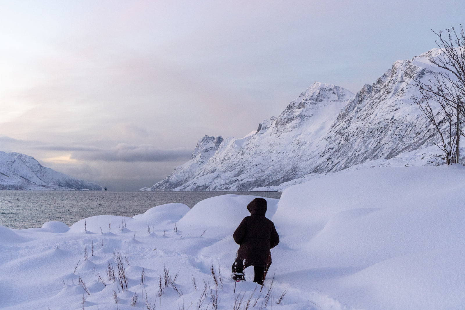 Private Fjord Adventure