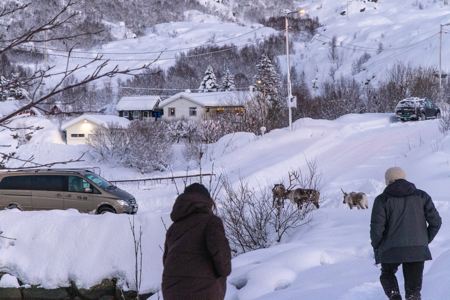 Private Fjord Adventure