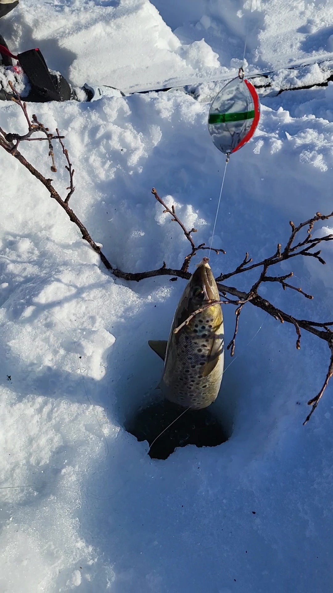 Private Ice Fishing & Snowshoe Expedition