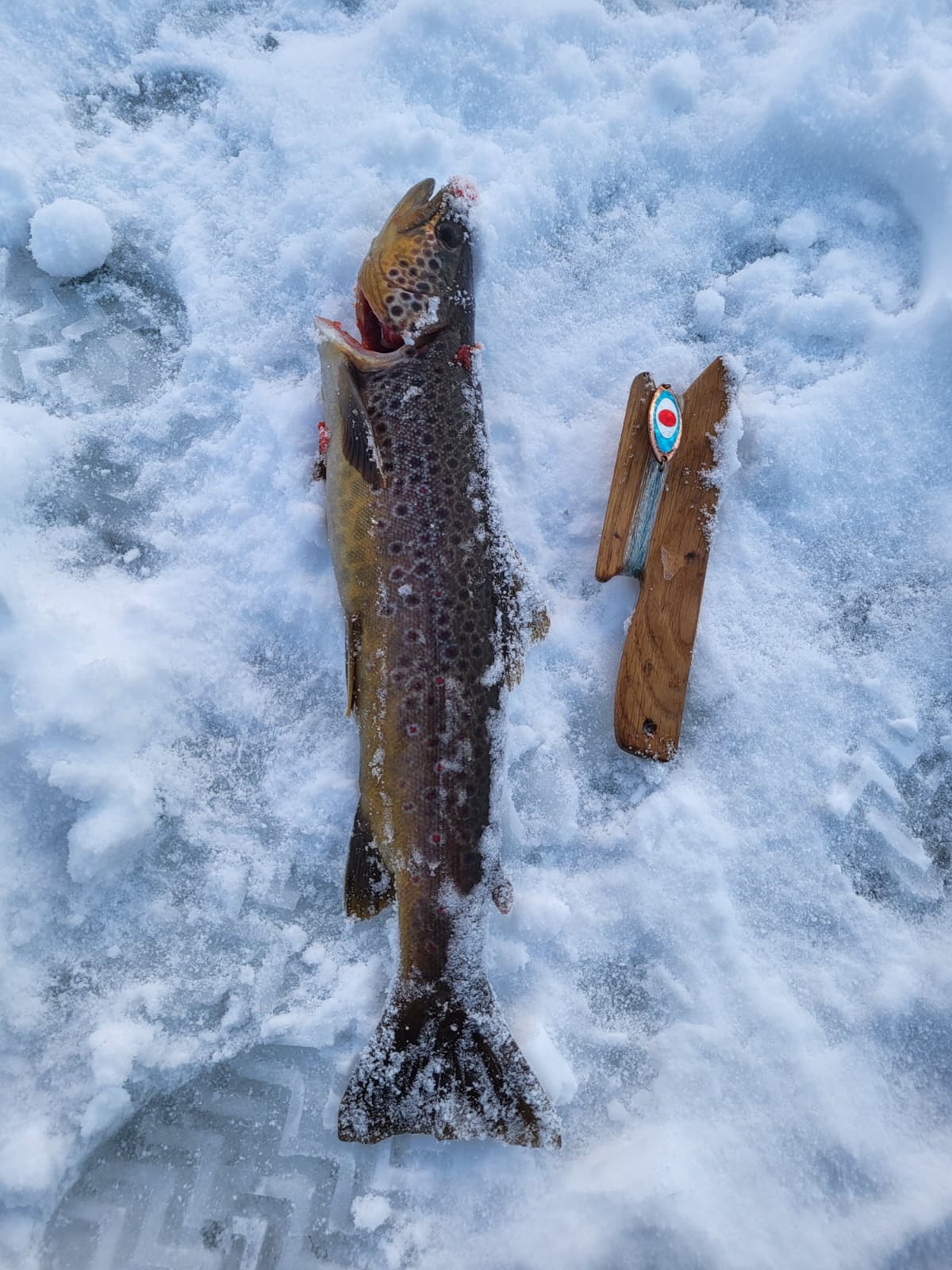 Private Ice Fishing & Snowshoe Expedition