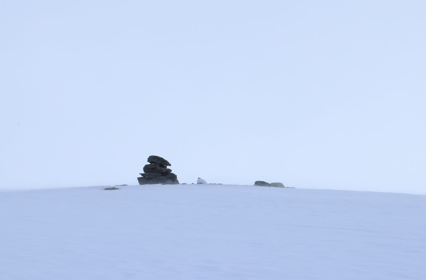 Mountain Cabin Stay and Remote Snow-shoe Hike